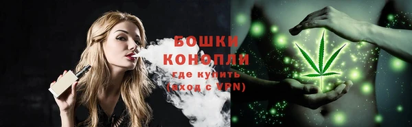 спиды Волосово