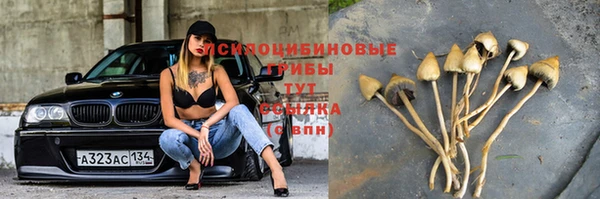 jwh Вязьма