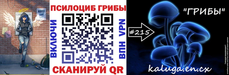 Купить  Волхов  Псилоцибиновые грибы прущие грибы 